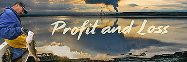 Profit and Loss Banner Image